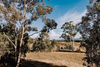 Apple Tree Cottage - An Idyllic Country Reset - Mudgee - 9