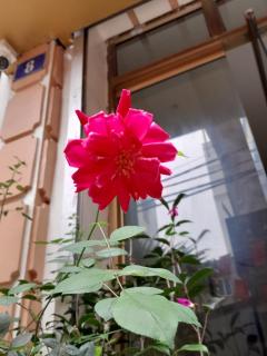 PHÚC AN HOSTEL - Cat Ba - 8