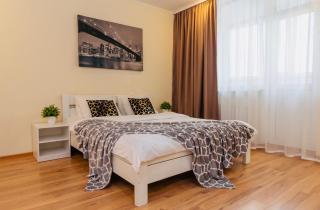 Уютные апартаменты на Позняках - Kiev - 7
