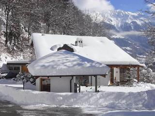 Apparthaus Vonbank - Schruns - 6