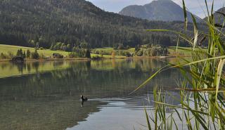 Haus Schluder - Familie Stanitzer - Weissensee - 5