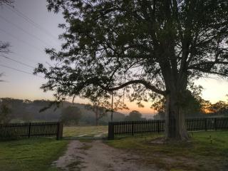 Galah Cottage Stanthorpe - 7