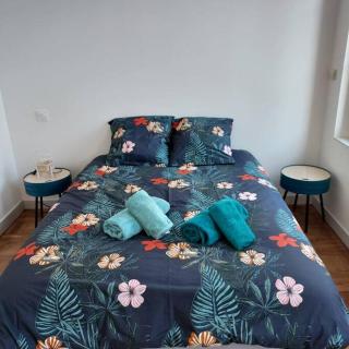 Appartemement F2 refait à neuf hyper centre - 6