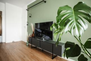 NEU, Superior Apartment 252, Oberharz, mit Schwimmbad und Sauna - Braunlage - 4