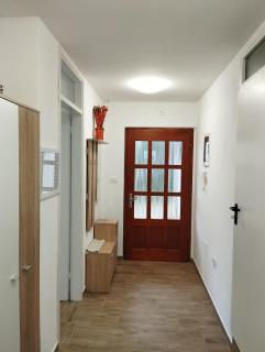 DAAL - Roč - 5