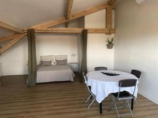 LOFT VILLEBOURBON 40 m2 avec parking - Montauban - 4