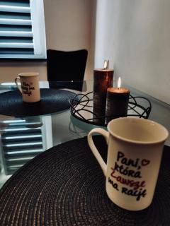 Apartament z parkingiem - Pyskowice - 2