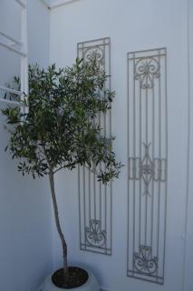 Cute Studio in Milos - Tripiti - 8