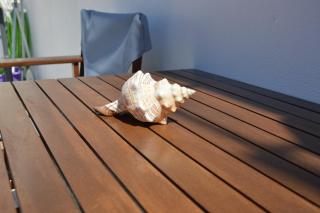 Cute Studio in Milos - Tripiti - 3