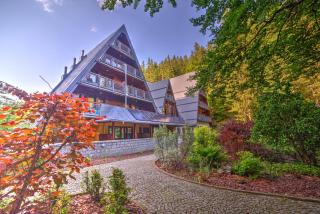 Jelenia Struga MEDICAL SPA - Kowary - 4