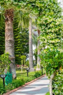 Stella Beach Hotel Ultra All Inclusive - Okurcalar - 1