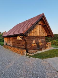 Vineyard cottage Vinska grajska kašča - Mirna - 0