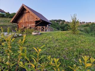 Vineyard cottage Vinska grajska kašča - Mirna - 5