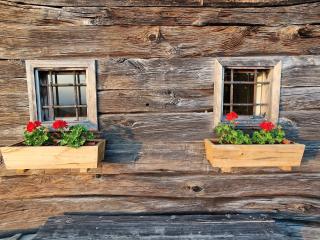 Vineyard cottage Vinska grajska kašča - Mirna - 6