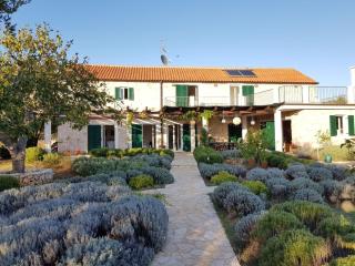 Villa stone house - Ugljan - 9
