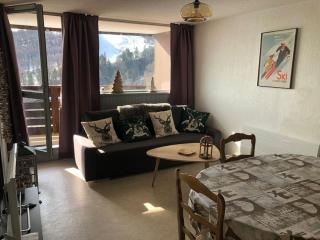 7 couchages et bébé au pied des pistes - Besse-et-Saint-Anastaise - 9
