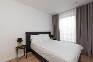 Brand New and Modern 1BDR Apartment - 2