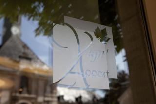 Vign 'Appart - Nuits-Saint-Georges - 9