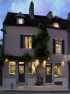 Vign 'Appart - Nuits-Saint-Georges - 6