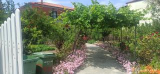 Orange Tree Garden - Pefkochori - 3