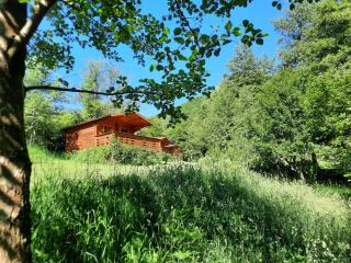 Wood Cabins in the heart of Transylvania - 4