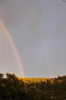 provence - 5