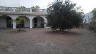 Gallipoli, Baia Verde Villa Grazia a 500mt dal centro di Baia Verde e dai locali notturni più importanti - Baia Verde - 4