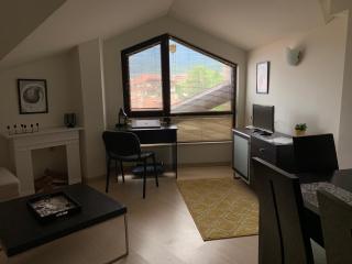 Central Art Apartment in Bansko with Mountain View - Bansko - 9
