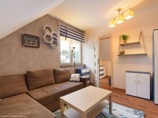 Apartament Kamyczek - 9