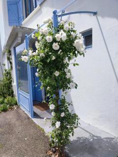 Maison du bonheur - Lanton - 3