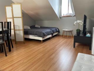 Maison de ville, centre de Provins - 2