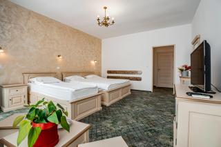 Hotel Rin - Sibiu - 7