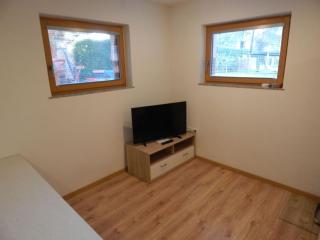 Nice traditional apartma in private house in Ljubljana-Brod - 4