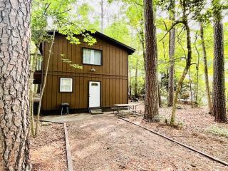 Nest in the Pines - Private Home - Ocean Pines - 8