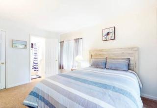 Nest in the Pines - Private Home - Ocean Pines - 4