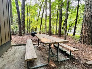 Nest in the Pines - Private Home - Ocean Pines - 2