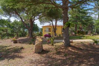 Villino nel Bosco - Capoliveri - 6