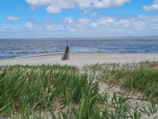 Strandkajüte Hooksiel - Wangerland - 5