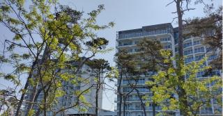 4 Sosny Porta Mare - 7