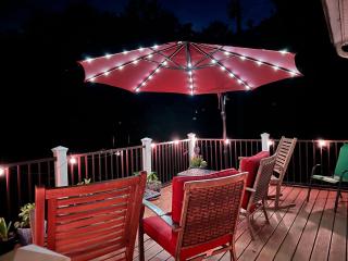 Mid-Century DJs Dream near Rhinebeck - - 5