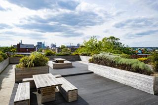 The Elm Suite - Reading - 9