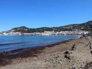 LLANCÀ 8 DAVANT MAR - Apartamento primera línea de mar con fantasticas vistas a Port de la Selva - ES-228-85 - Port de la Selva - 6