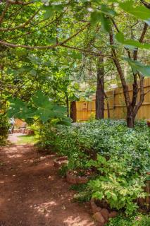 Canyon Wren Creek Access-Wild Rose cabin - Sedona - 2