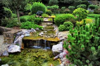 Hôtel Aster Restaurant Aux Arcades - 6