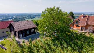 Apartma med vinogradi - Ljutomer - 7