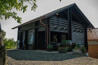 Apartma med vinogradi - Ljutomer - 9