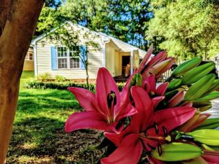 RARE Downtown Matthews walk 2 shops restauraunts hike CLT 2 Bedroom not 3br - Charlotte - 4
