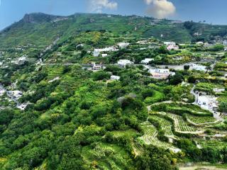 Villa Gesualda - Ischia - 9