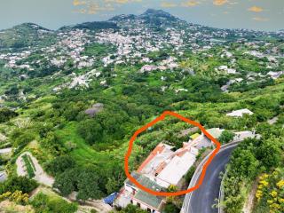 Villa Gesualda - Ischia - 8