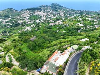 Villa Gesualda - Ischia - 0